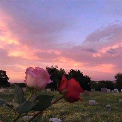 万博全站官网app最新版下载