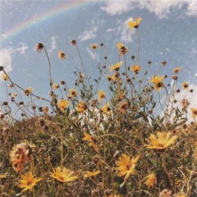 完美电竞下载手机版