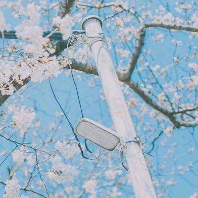 久游棋牌手机app下载