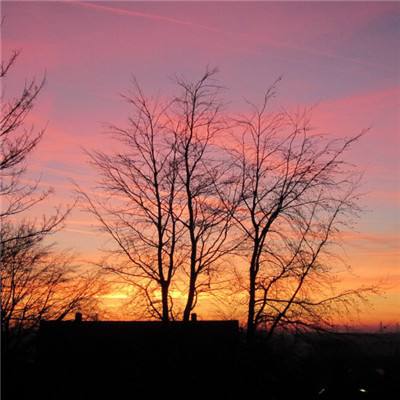 乐发彩票vl截图