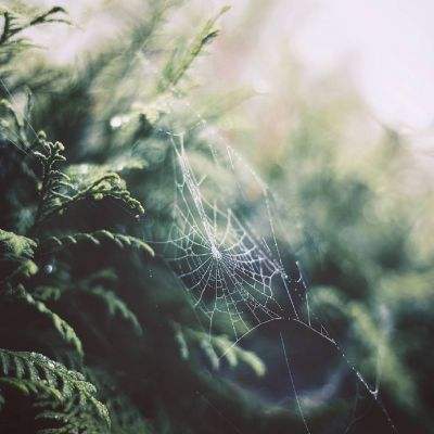 好运彩手机app下载